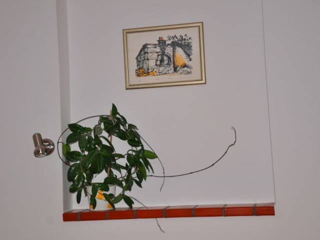 pécsi szállás, szállás pécs, apartman pécs, pécsi apartman